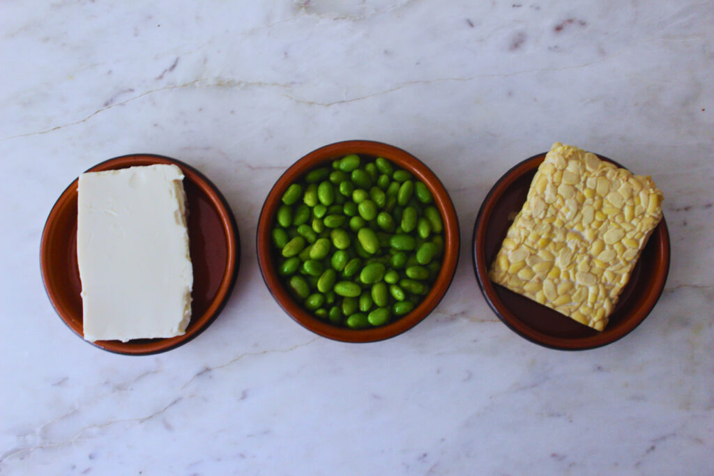 image of tofu, edamame, and tempeh
