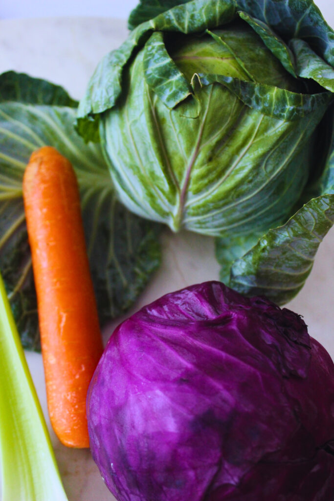 vibrant image of green and red cabbage next to a carrot