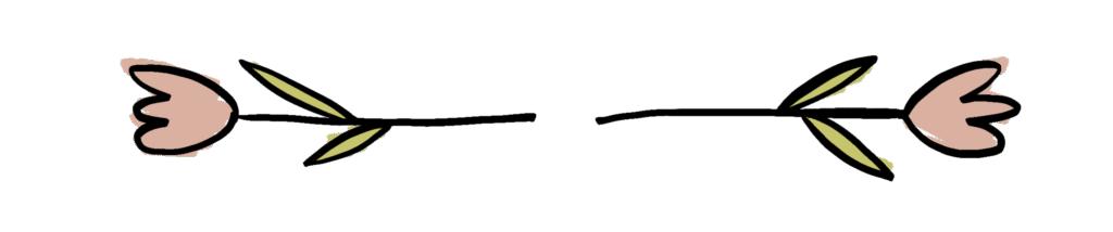 two hand drawn illustrated tulips 