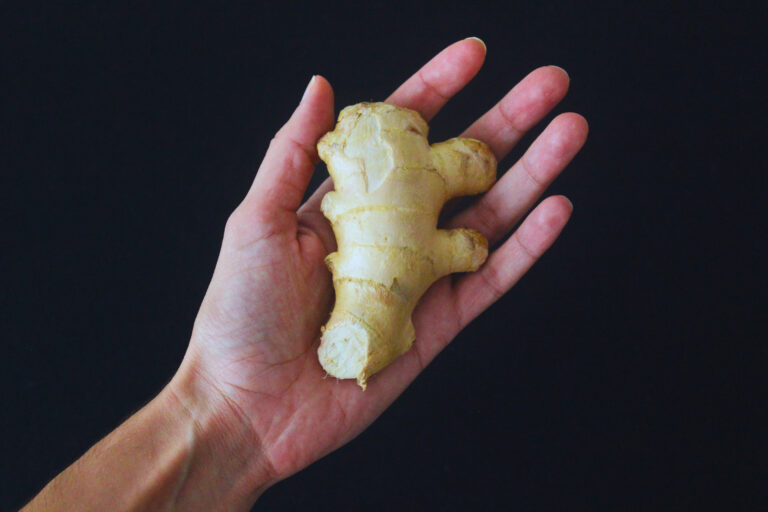 Overhead Image: Hand holding fresh ginger root