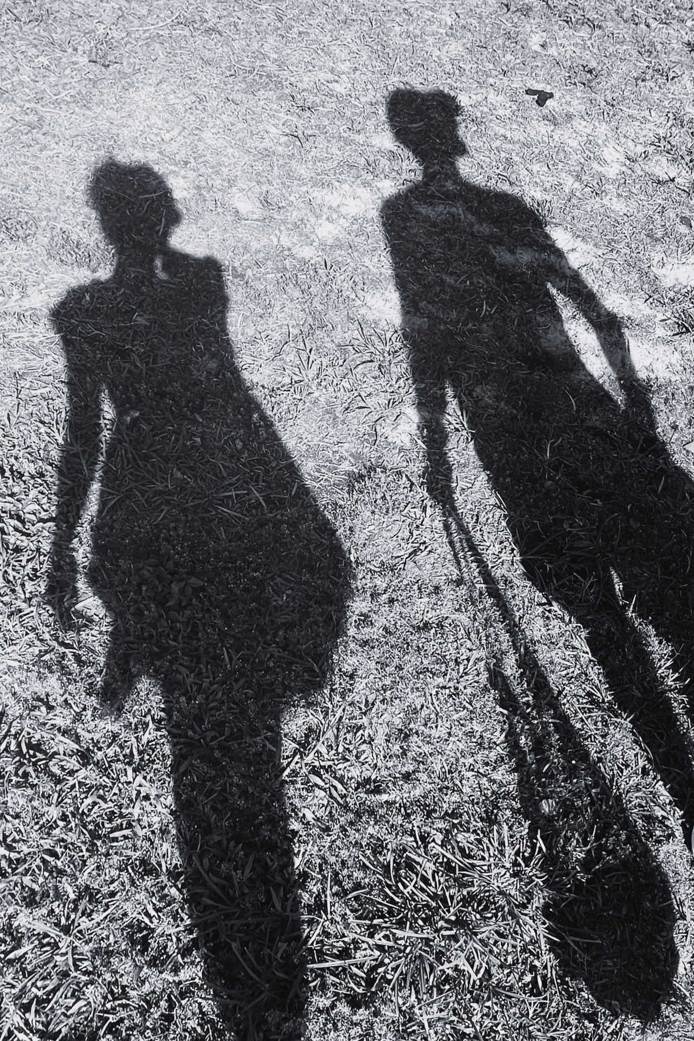 black and white image of the shadows of a vegan couple walking