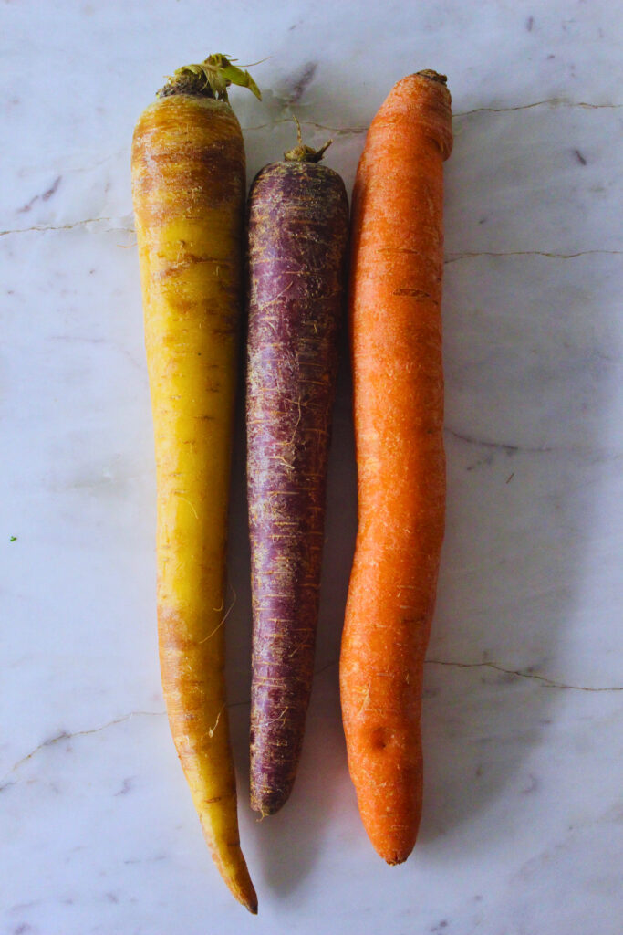 three large rainbow carrots. One white, one purple, one orange.